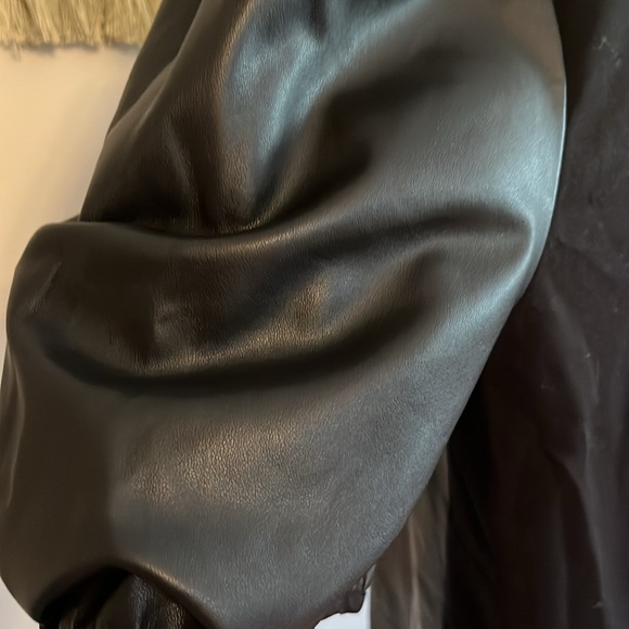 Ann Taylor Factory Faux Leather Spandex Back Zipper - Picture 5 of 6